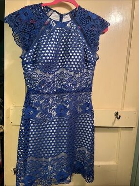 Royal Blue Lace Midi Dress with Floral Cutwork